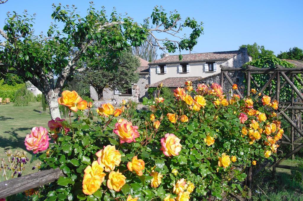 Luxury B&B Maison A Votre Sante, In Bordeaux Wine Region Savignac-de-Duras Exterior foto